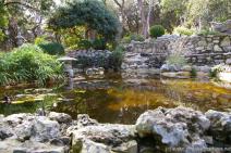 Koi fish pond and river grass and rocks at Zilker Botanical Garden.jpg