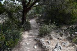 Rock Lined Trail at Hamilton Pool Preserve.jpg