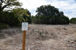 Important Bird Area at Hamilton Pool.jpg