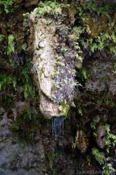 Water Dripping from Rock on Ceiling of Hamilton Pool.jpg