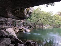 Arched Tree and Pool of Hamilton Pool Preserve.jpg