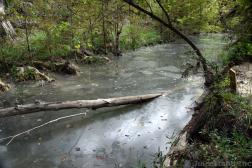 Stagnant River Stream at Hamilton Pool Preserve.jpg