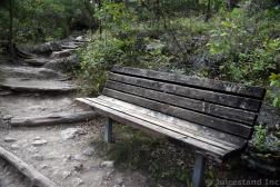 Bench at Hamilton Pool Trail.jpg