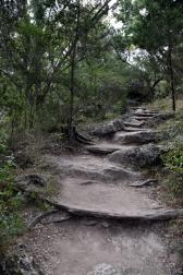 Stairway Made of Natural Rocks at Hamilton Pool Trail.jpg