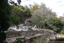 Oriental Rock Garden at Zilker Botanical Garden.jpg
