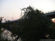 P1000867.jpg