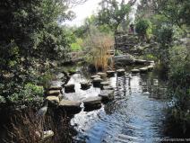Pond and rocks at Zilker Botanical Garden.jpg