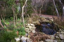 Small pond at Zilker Botanical Garden.jpg