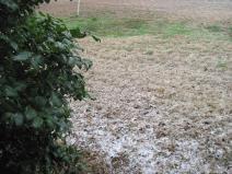 Snow on the ground in South Austin on February 23 2010.jpg