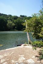 Boat docked at Red Bud Isle Park next to Ladybird Lake.jpg