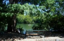 One-person paddle boat Ladybird Lake viewed from Red Bud Isle Park.jpg