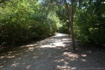 Walking Trail at Red Bud Isle Park.jpg