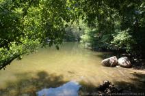 View of Ladybird Lake at Red Bud Isle Park Austin.jpg