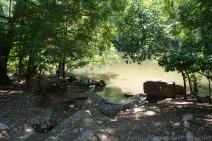 Shore of Red Bud Isle Park Austin.jpg