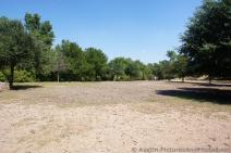 Large Grassy Field for Dogs at Red Bud Isle Park.jpg