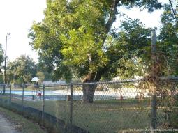 Swimming pool near Zilker park.jpg