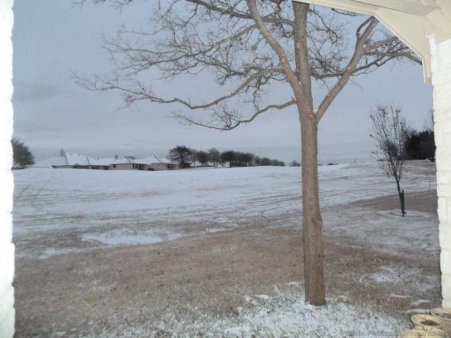 Snow on grass in Austin February.jpg