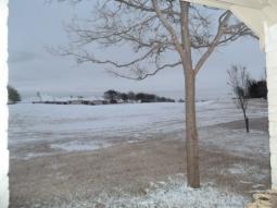 Snow on grass in Austin February.jpg