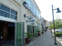 Wyland Galleries Ocean Blue Hill Country Galleria.jpg
