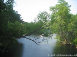Town Lake area near Austin Train Trestle.jpg