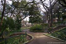Walkway in the Zilker Botanical Garden.jpg