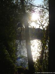 Zilker Park looking out to Ladybird Lake.jpg