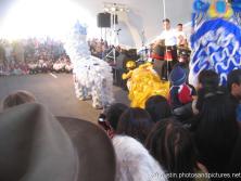 Austin China Town Chinese New Year show with tigers.jpg
