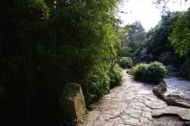 Bamboo edging and arch bridge at Zilker Botanical Garden.jpg