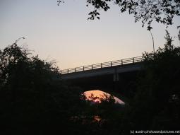 Congress Bridge Bats Pictures and Photos