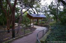 Gate into the Oriental Garden at Zilker Botanical Garden.jpg