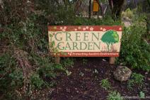 Green Garden section of Zilker Botanical Garden.jpg