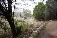 View of Hurst Creek from Hamilton Greenbelt trail in Lakeway Texas.jpg