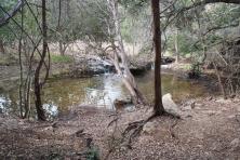 Small waterfall at Hamilton Greenbelt in Lakeway Texas.jpg