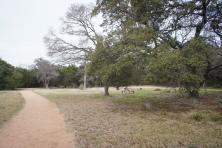 Stone bench & table at Hamilton Greenbelt in Lakeway Texas.jpg