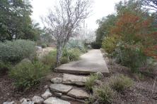 Walking path at Hamilton Greenbelt in Lakeway Texas.jpg