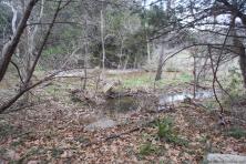 Waters of Hurst Creek in Lakeway Texas.jpg